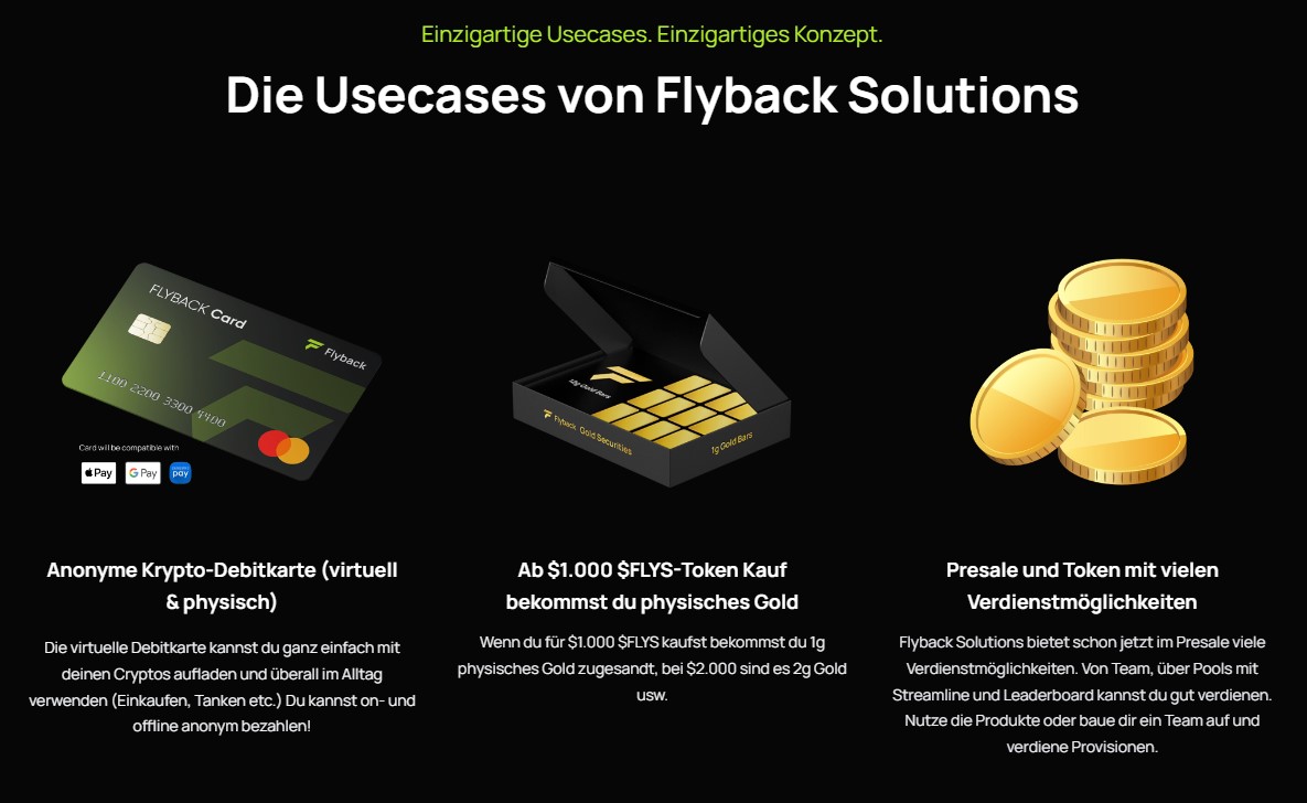 Die Mission und Vision von Flyback Solutions